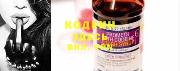 трава Кодинск