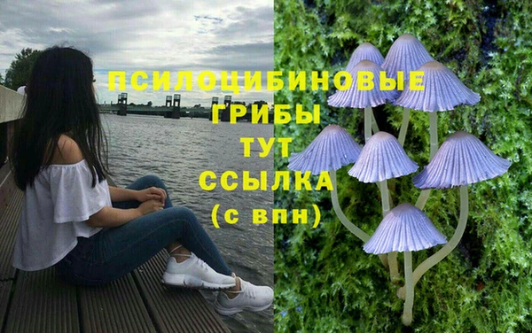 трава Кодинск