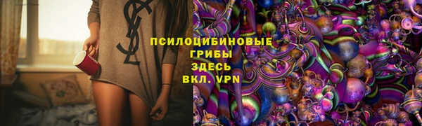 трава Кодинск