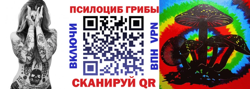 Псилоцибиновые грибы Cubensis  Купить закладки  Горбатов 